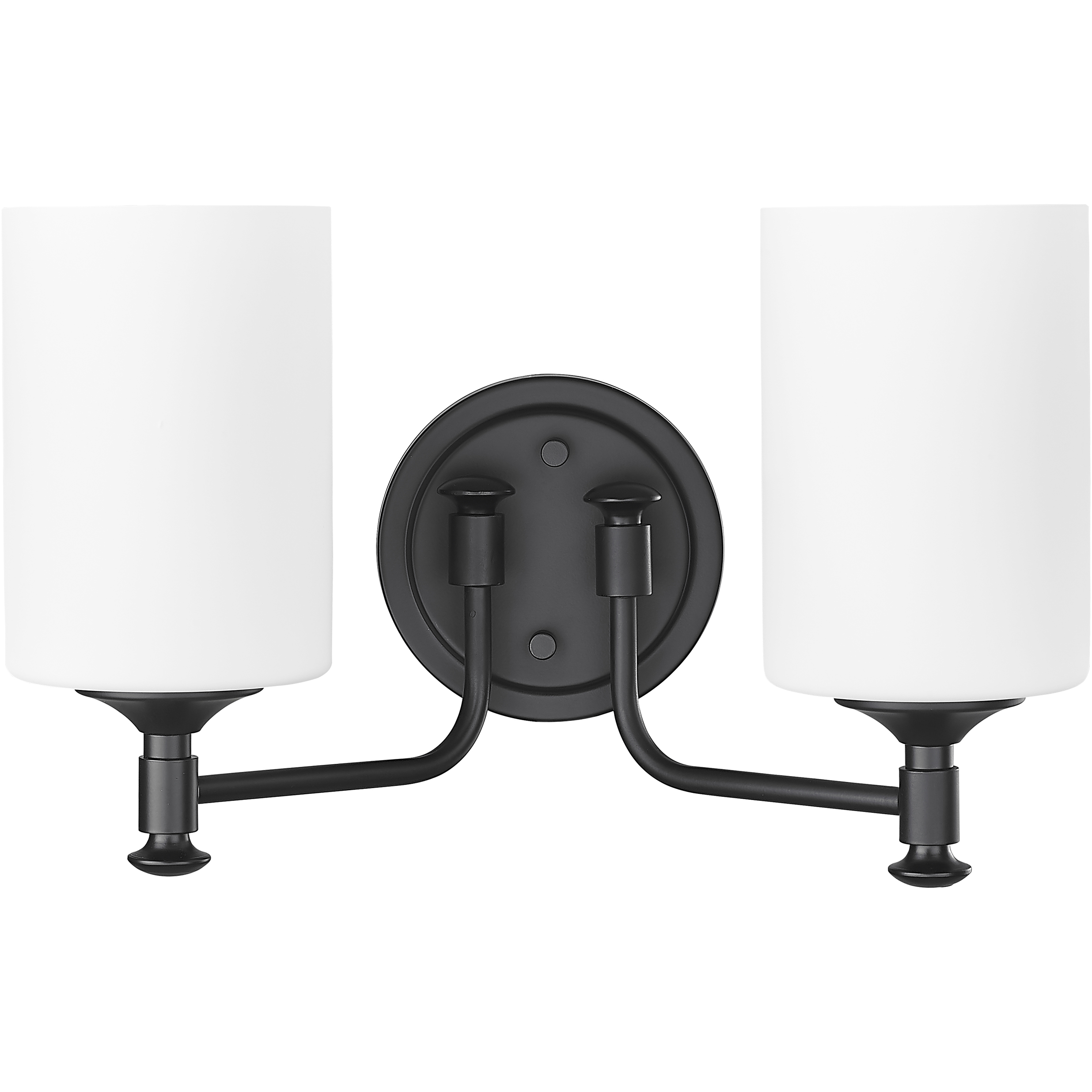 Ailey 2 Light 14.63 inch Matte Black Vanity Light Wall Light
